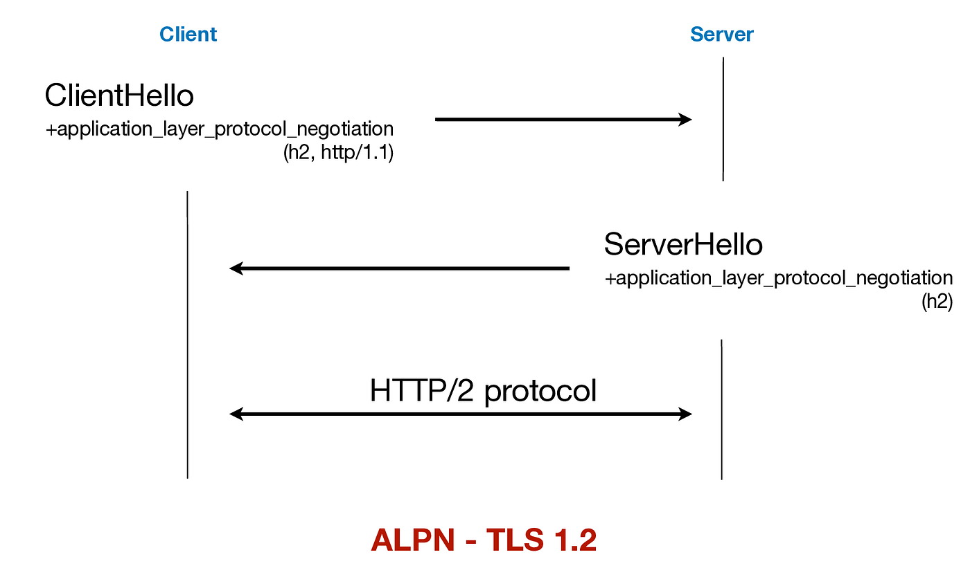 ALPN